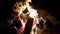 Close-up. Bonfire in the forest of neatly stacked chopped logs. SlowMo shooting