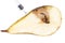 Close up Boring trace of a codling moth Cydia Pomonella, in a half middle wormy pear. On white background. With syringe. Concept n