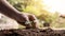 Close-up of both hands of farmers, pay attention to small plants by putting the soil in seedlings.