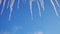 Close up bottom view of melting icicles on blue cloudy sky background. Concept. Early spring natural landscape, end of