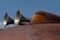 close-up of the boundary light and chrome horn of an old rusty scraper wagon