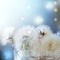 Close up bouquet of dandelions in glass on blue bokeh background.