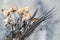 Close-up of a bouquet of fading flowers