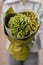 Close-up of bouquet of green hydrangea with sprigs of gypsophila in wrapping paper