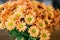 Close up Bouquet Many Flowers Orange Chrysanthemums