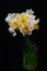 Close up of bouquet of white and yellow daffodils in a vase on d