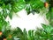 Close up of bouquets of various fresh tropical leaves on white background