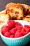 Close up of bowl of raspberries