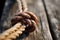 close-up of a bowline knot on a weathered rope