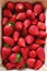 Close up on box full of strawberries, top view. Nutritional product from local farm in Huelva, Spain