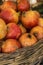 Close-up of box with many Italian pomegranates in fair