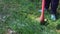 Close-up of a boy mowing green grass with an electric trimmer.