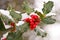 Close up of a branch of holly with red berries