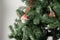 Close up on branch and leaves of Christmas tree decorated with white dot red ball and pine hanged on it