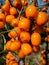 Close-up of a branch with sea-buckthorn berries.