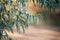 Close-up of a branch of unripe olives on a blurred background of an olive grove