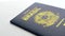 Close-up of the Brazilian passport against a white background, symbolizing travel and citizenship. Clear image of a Brazilian