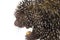 Close-up of Brazilian Porcupine