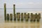 Close-up of breakwaters at the Dutch coast