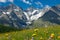 CLOSE UP: Breathtaking shot of rocky mountain range above the blooming meadow.