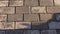 Close-up Brick wall or floor texture.