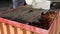 Close up of a bricklayer on a construction site with a trowel. Stock footage. Industrial worker using trowel for