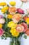 Close Up Bright Spring Colored Ranunculus Flower Bouquet