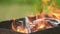Close up of brightly burning wooden logs with yellow hot flames of fire.