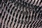 Close-up of bristles on black hairbrush