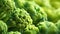 A close up of broccoli plants with a blurry background, AI