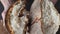 Close-up of broken bread with porous texture in woman's hands. Fresh baked bread texture with crispy crust.