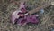 Close up for broken purple guitar lying on withered hay, top view. Stock. Broken electric guitar parts violet deck and