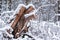 Close-up of a broken tree in a winter forest. The environment is heavily snow-covered. winter landscape. selective focus. Bokeh is