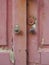 Close-up of broken and uncorked pink wooden door entrance with round door knobs. Old pink door with rusty and spoiled paint