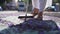 Close-up broom sweeping purple petals in sunlight outdoors. Unrecognizable young Caucasian woman in white dress cleaning