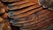 Close-up of Brown Bird Feathers