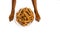 Close-up of brown bones of dog food, in a white food bowl, on a white studio background. Brown paws of a puppy.