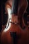 Close up of brown cello, created using generative ai technology