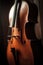 Close up of brown cello, created using generative ai technology