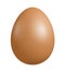 Close up of Brown Egg , with clipping path