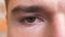 Close up brown eye of guy staring and blinking with a disappointment sight. Portrait of half male face looking into