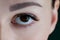 Close-up of brown eye with long false eyelashes black eyeliner, flawless skin, eyebrow of young woman looking at camera.