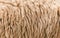 Close up of Brown fleece texture background