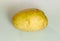 Close up of a brown skin potato on the white background.