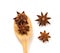 Close up the brown star anise spice in wooden spoon isolated on