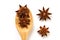 Close up the brown star anise spice in wooden spoon isolated on