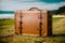 A close up of a brown suitcase sitting on the grass near the ocean.