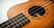 Close up of brown Ukulele on white background. Ukulele strings, saddle, soundhole, ukulele body, neck, fretboard.