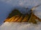 A close-up of a brownish leaf covered by snow