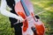 close up of a brunette woman with glasses playing cello at sunset in the park, on a green grass.